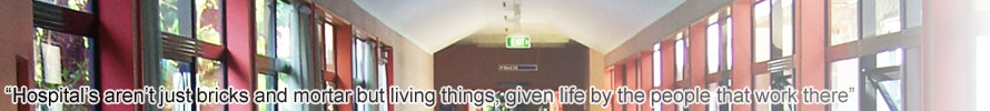 banner3.jpg